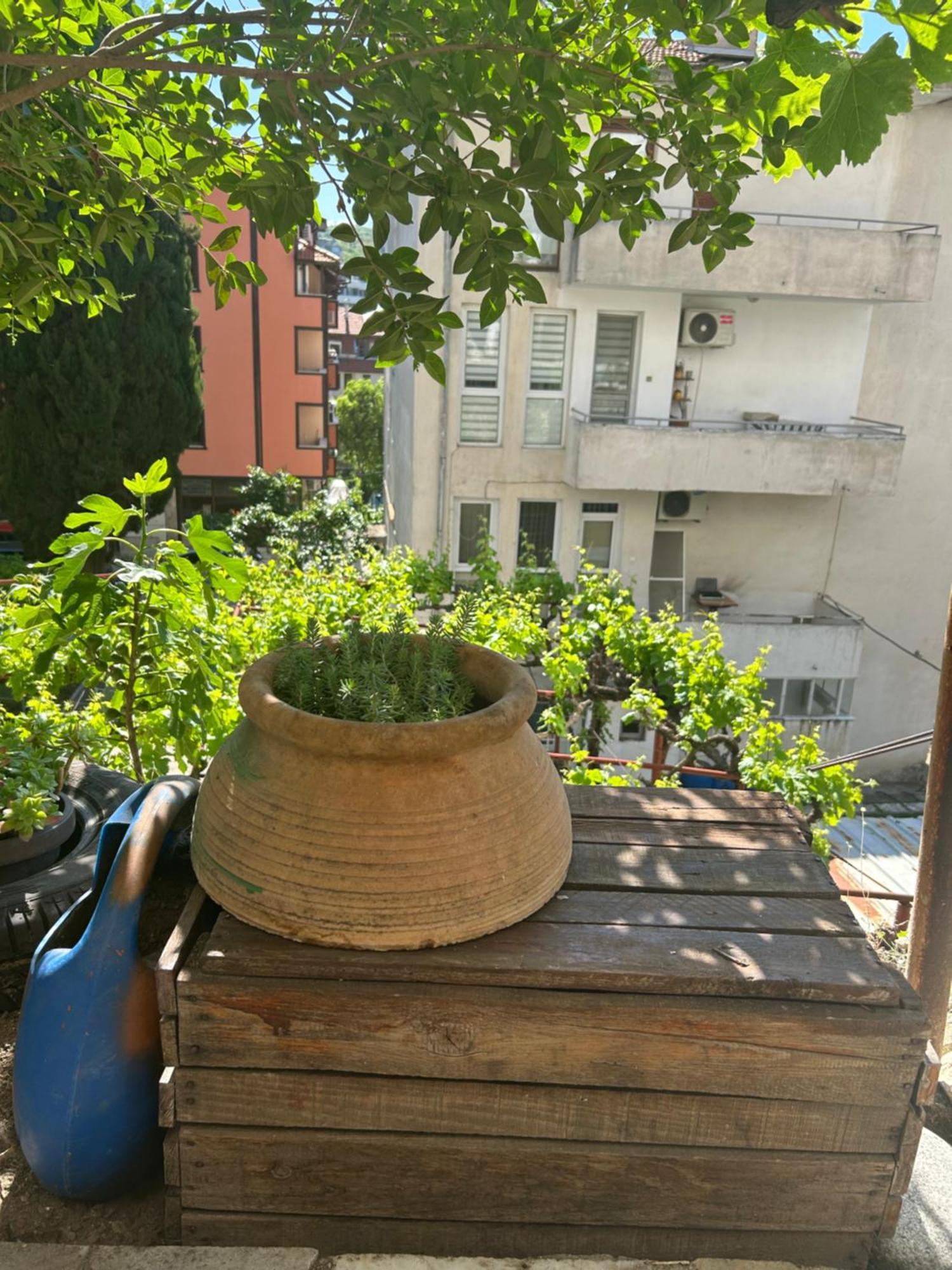 Didi House Apartment Sandanski Bagian luar foto