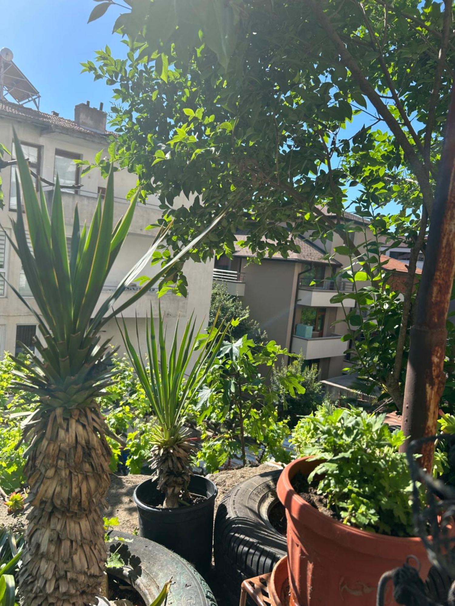 Didi House Apartment Sandanski Bagian luar foto