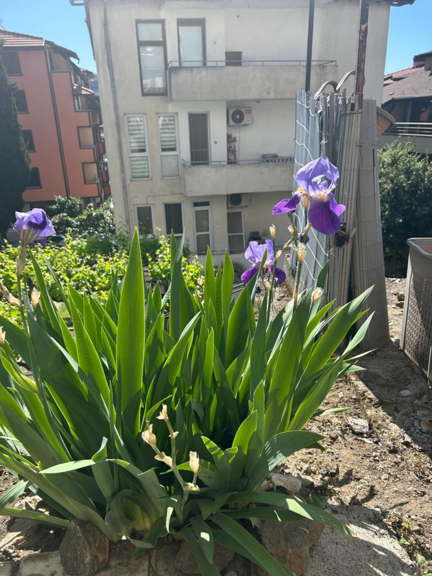 Didi House Apartment Sandanski Bagian luar foto