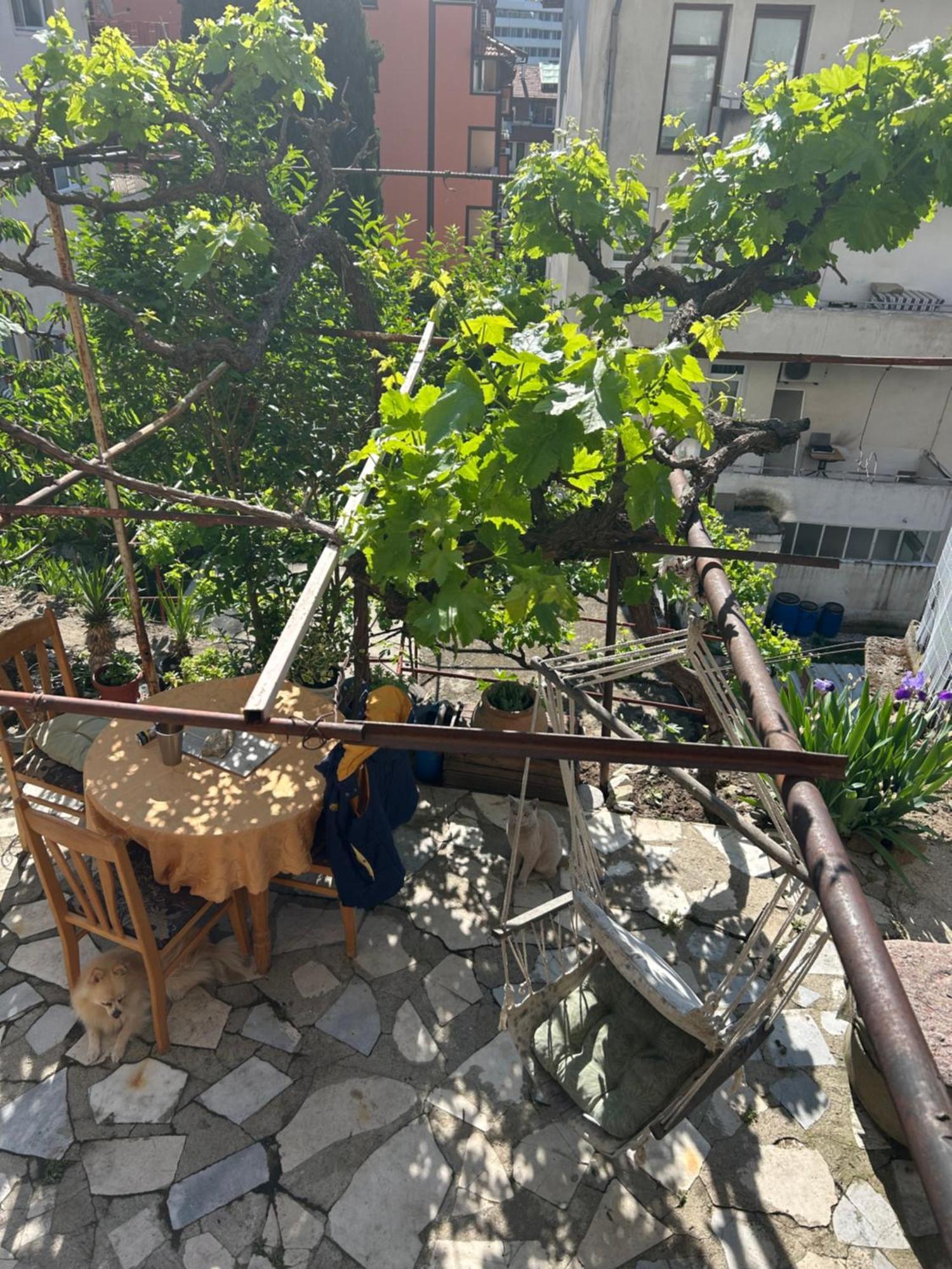 Didi House Apartment Sandanski Bagian luar foto